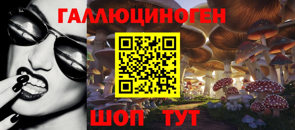 Пушкино  Псилоцибиновые грибы GOLDEN TEACHER  Вход с VPN  Галлюциногенные грибы Magic Shrooms 