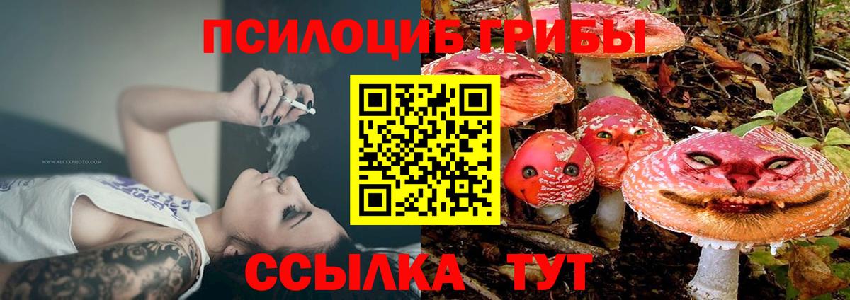 Псилоцибиновые грибы прущие грибы Пушкино